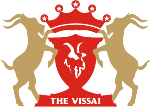 Vissai Ninh Binh FC Logo